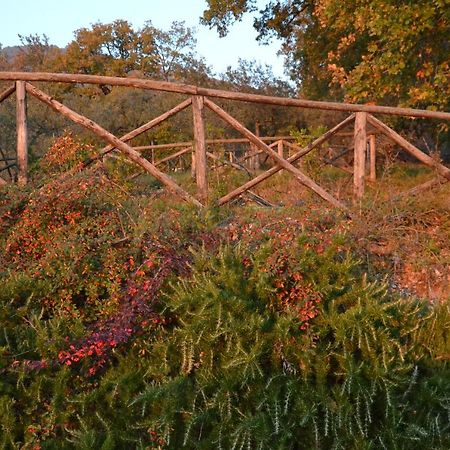 أسيسي Locazione Turistica Villa Delle Rose المظهر الخارجي الصورة